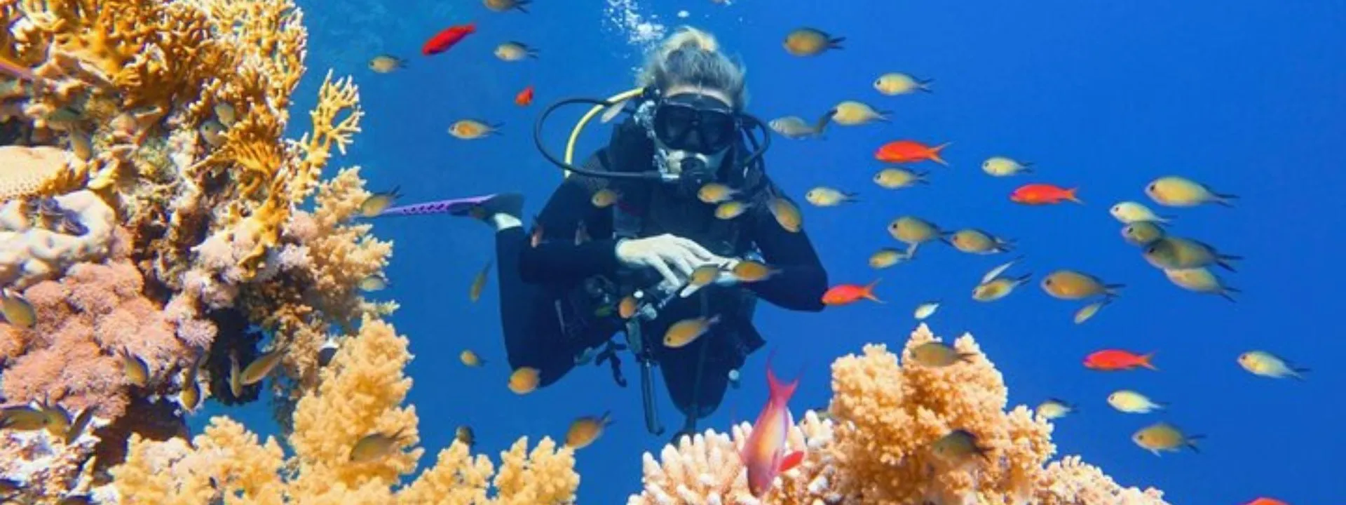 The Ultimate Guide to Diving in Hurghada: Exploring the Red Sea’s Underwater Wonders